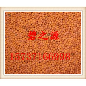 兰溪直销陶粒滤料原装现货