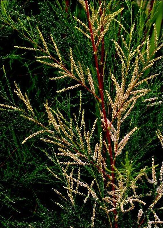 QQ截图20170914095534