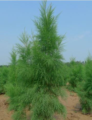 QQ截图20170914103231