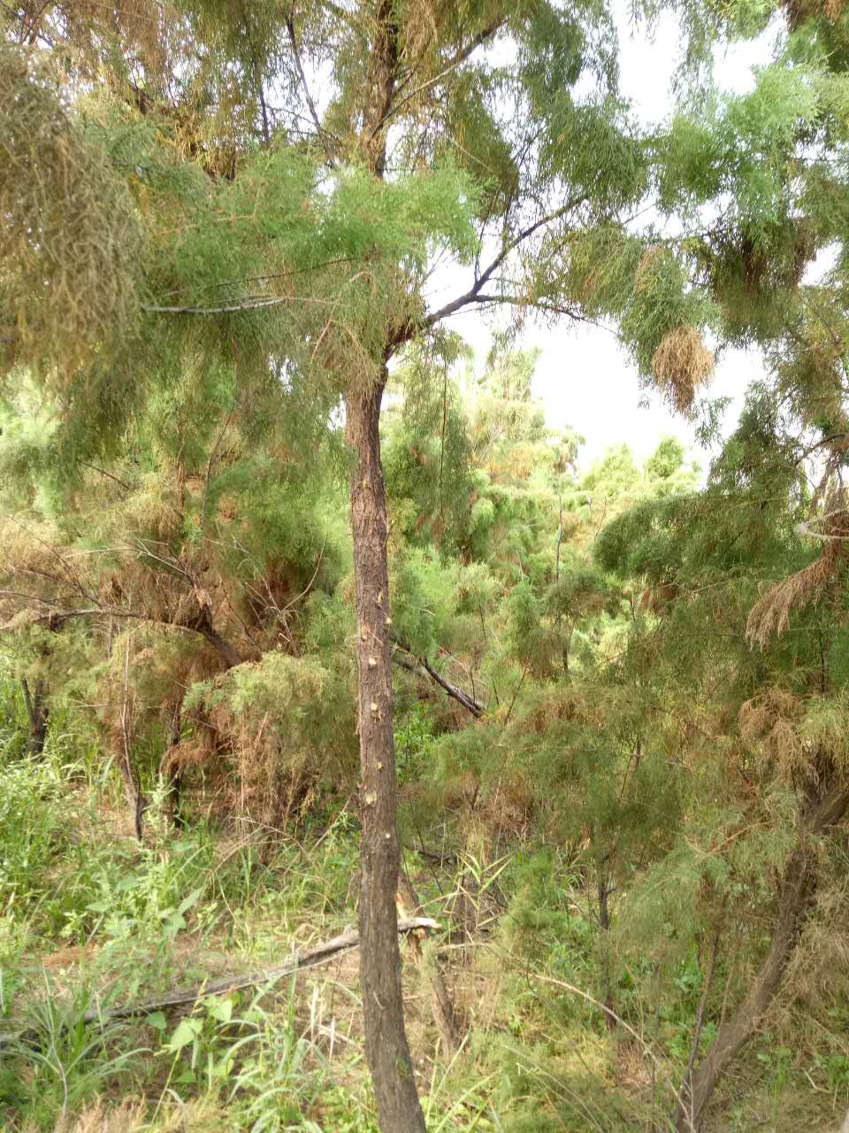 {D585FB1F-848C-98A6-E40E-402232F40194}