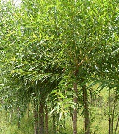 QQ截图20170914104539