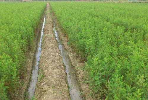 u=455820355,869690975&fm=27&gp=0