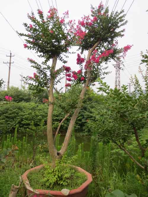 u=3152555582,2978179965&fm=27&gp=0