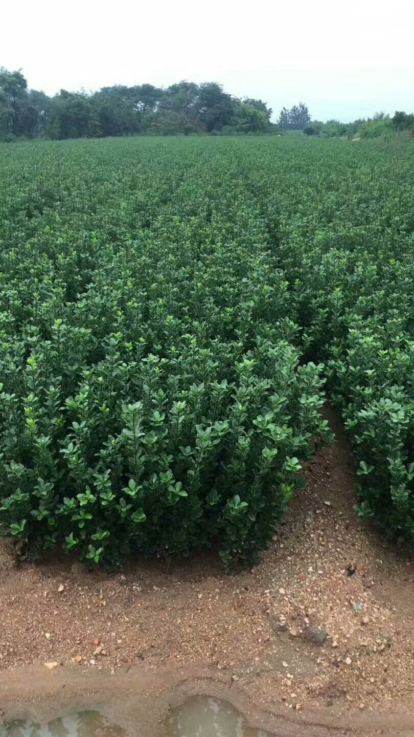 mmexport1505977602152 (2)