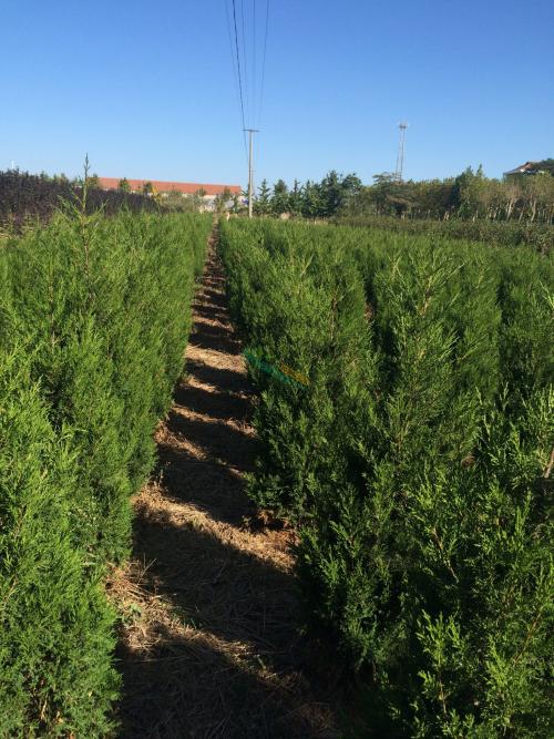 u=1444759629,258244640&fm=27&gp=0