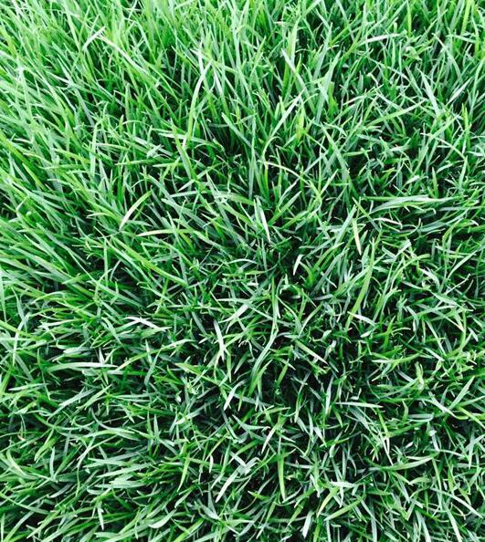 QQ截图20170927142952