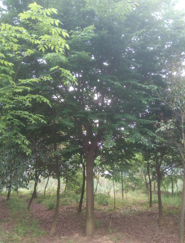 6H`$N_[EK7N`JSP1LL1FDUK