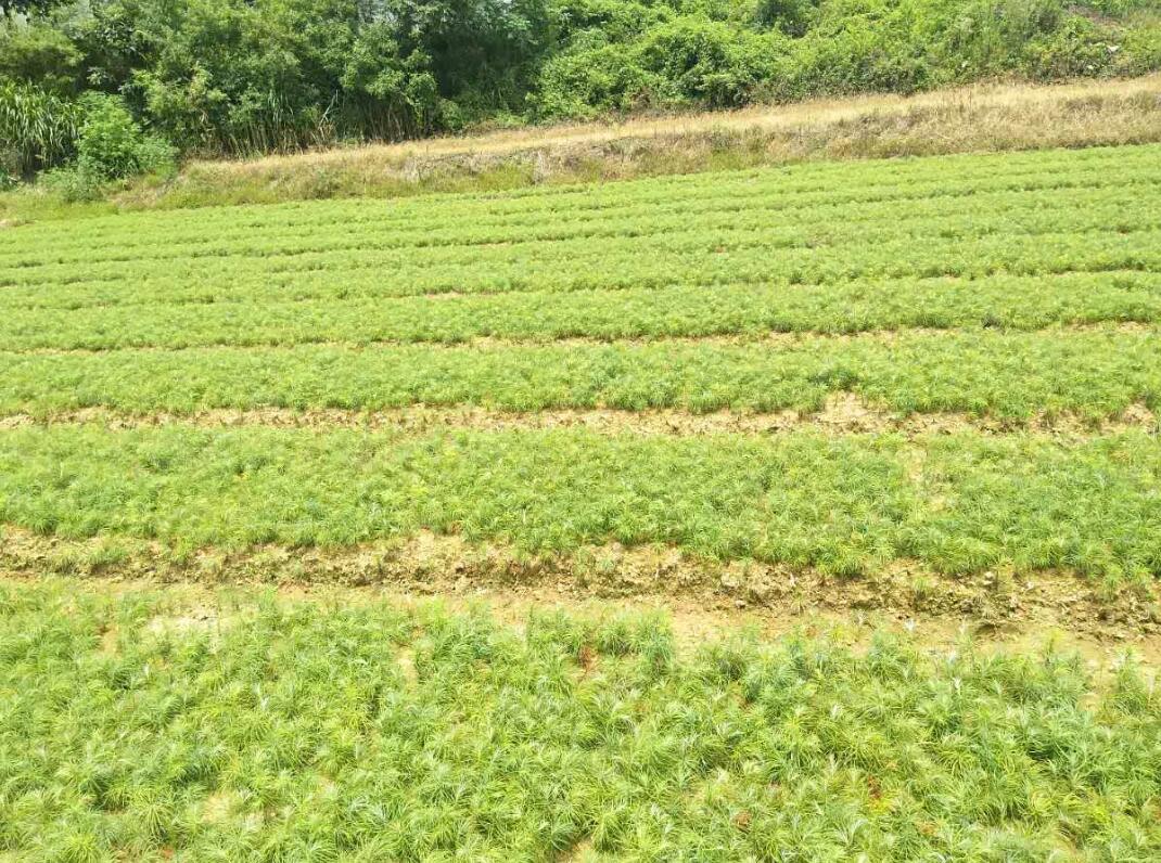 QQ截图20170927154022