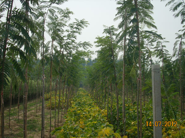 d1ab362d67606f9016e2cb7adc95514b_15058091888199308