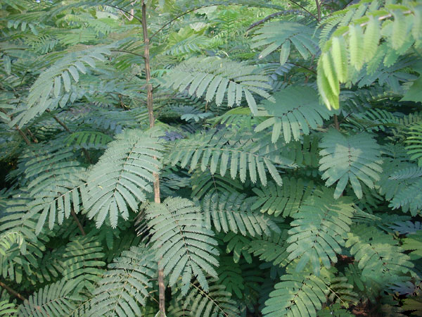 0fb247caa6afb5eb871d2c49622f9b8f_15058091987619230