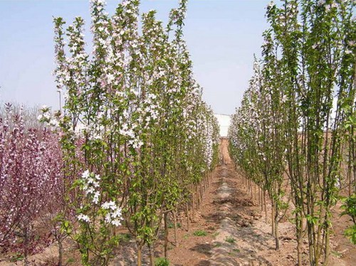 f5b005683dedd308fdf173eb266480d6_20160315151439-1538099472