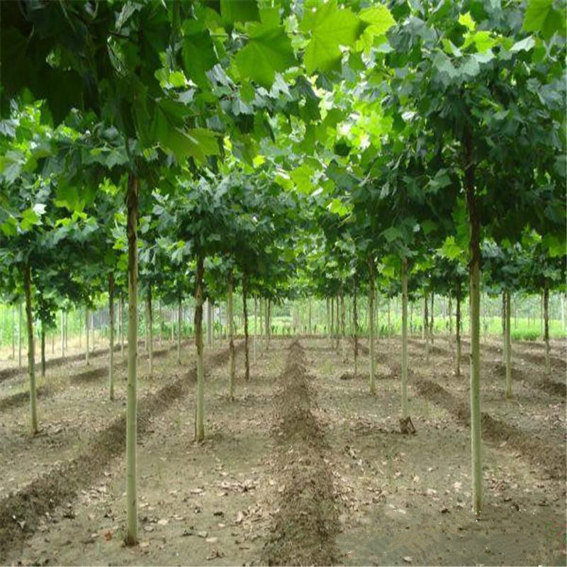 5CEAB4596B64CDF1956BEF2F2E9AA8C5_meitu_4