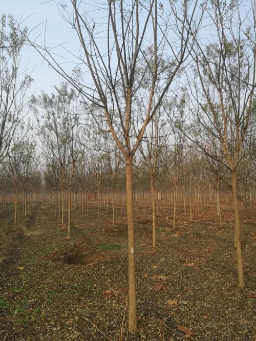 391f2003285e9b46bb4af0cdbf0d09f9_20173151449100