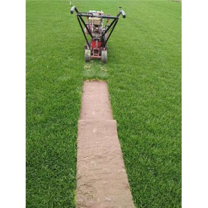 沙培果岭草基地