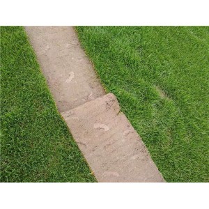 沙培果岭草价格