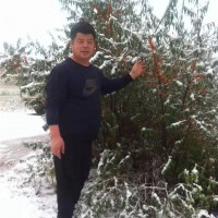 沙棘枝头雪花飘