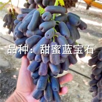 甜蜜蓝宝石