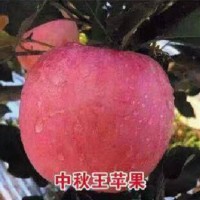 中秋王苹果